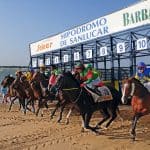 Carreras de Caballos, horse races, Pferderennen