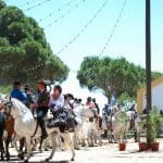 Chipiona, Romería del Pinar, festivity, Fest